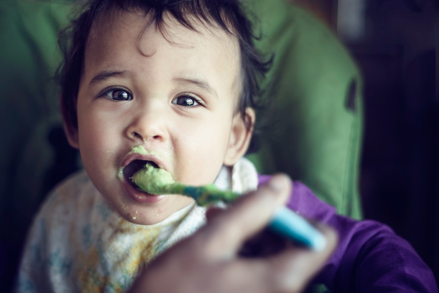 Baby being fed in a high chair.