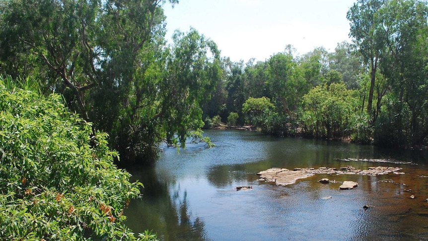 Rocks in Katherine River which is surrounded by trees