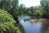 Rocks in Katherine River which is surrounded by trees
