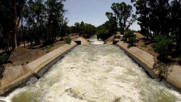 Irrigators claim the water purchases are not being effectively targeted.