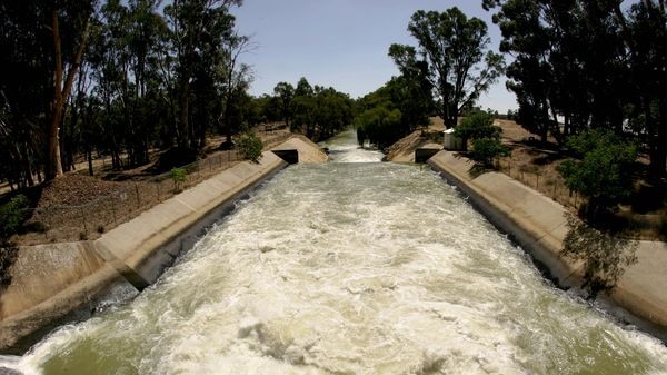 Irrigators want the SA Government to waive transfer fees they pay.