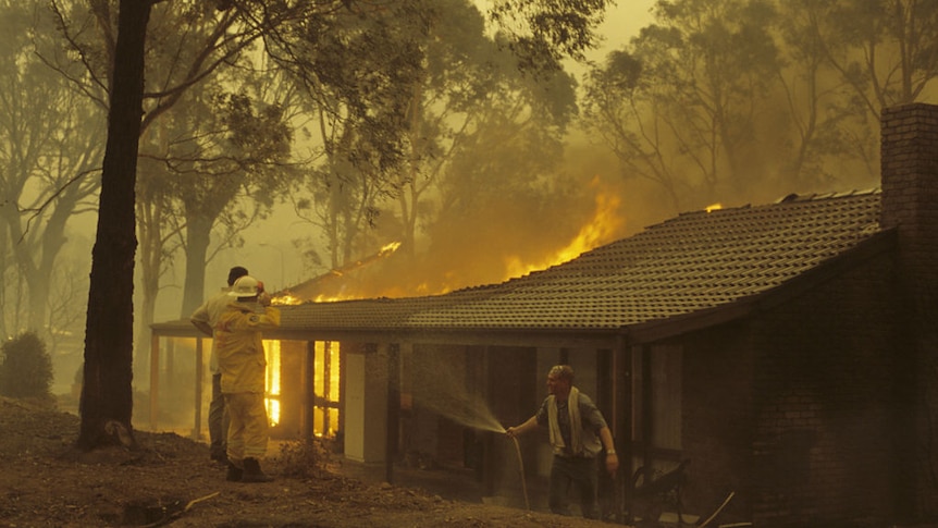 The report found the Government has a robust framework for bushfire management but has identified shortcomings.