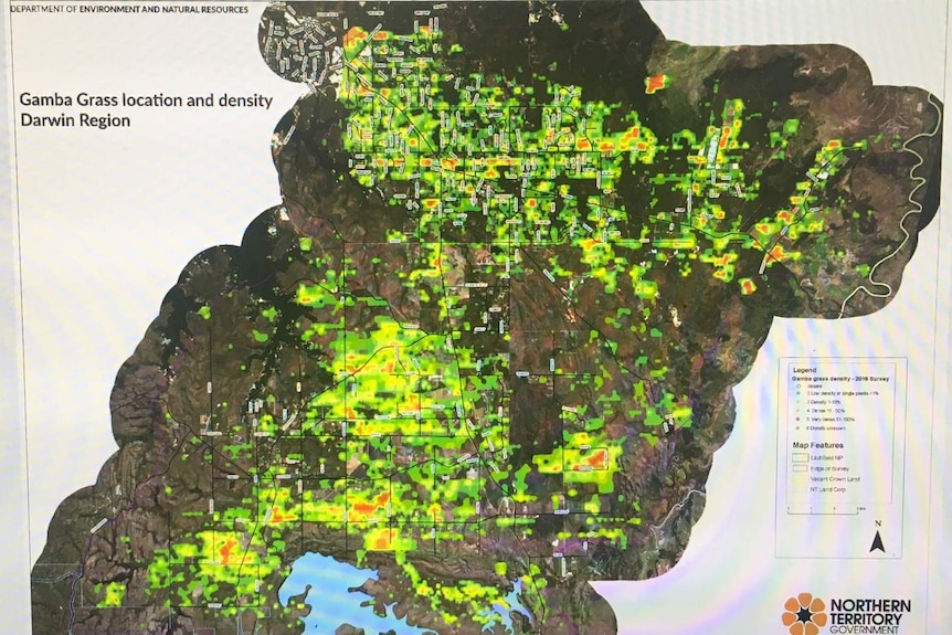 A recent aerial survey has revealed the highly invasive grass is spreading as far south as Katherine.