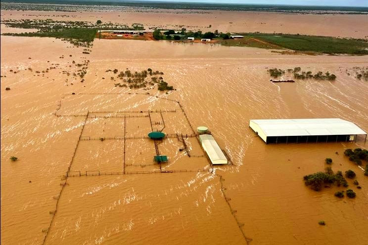 Properties on a farm inundated by floodwater