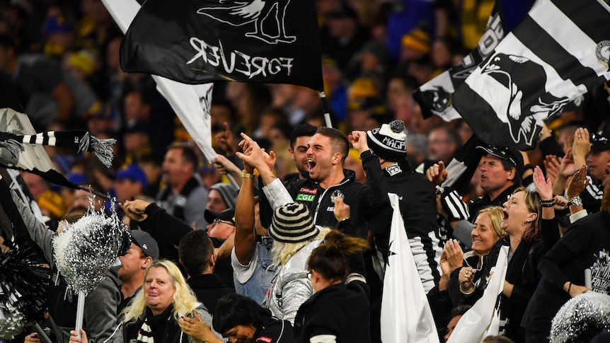 Collingwood fan celebrate a goal