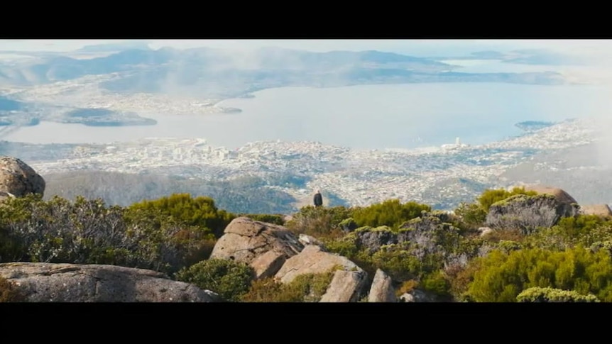 Social media video from the Mount Wellington Cable Car Company.