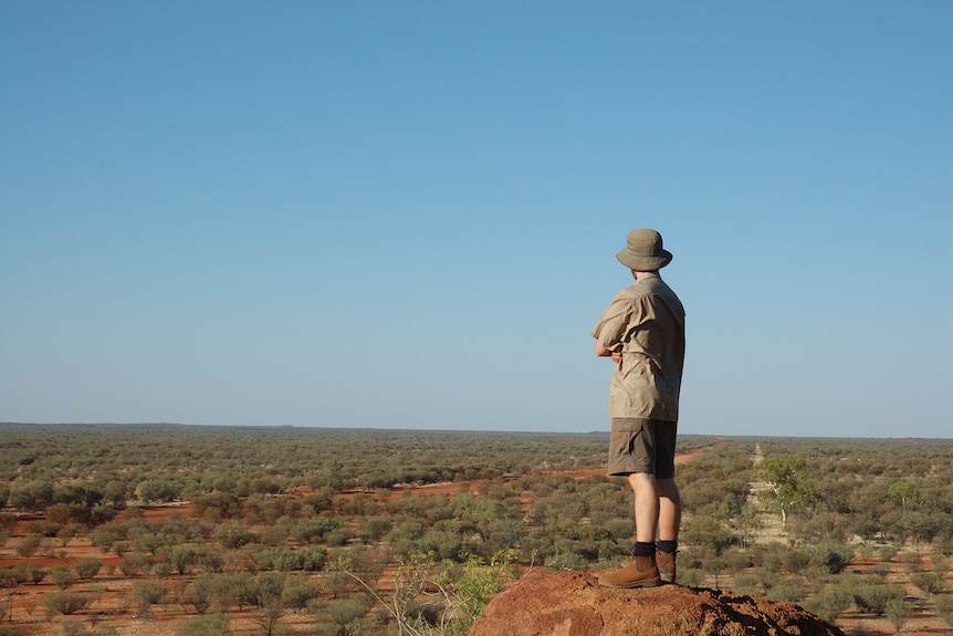 A man in khaki stands on a rock, looking out over red desert with short green shrubs.