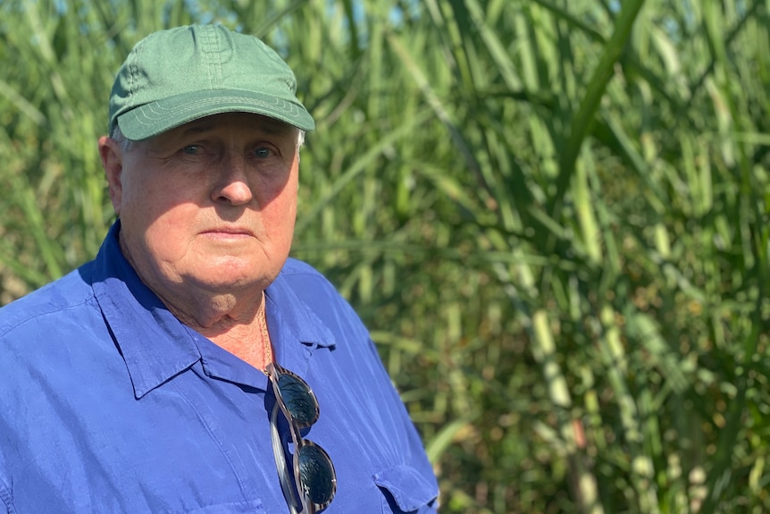 A head and shoulders portrait of a Caucasian man wearing a blue collared shirt and green cap, standing in front of sugarcane.