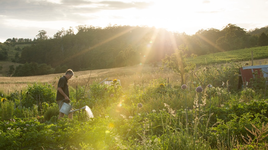 matthew evans watering his garden at his farm