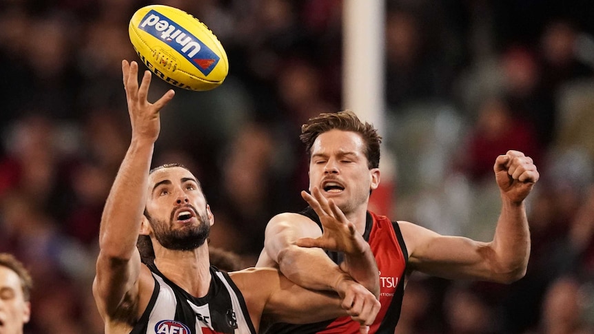 Brodie Grundy looks up as he catches the ball with one hand as an Essendon player attempts to punch the ball clear