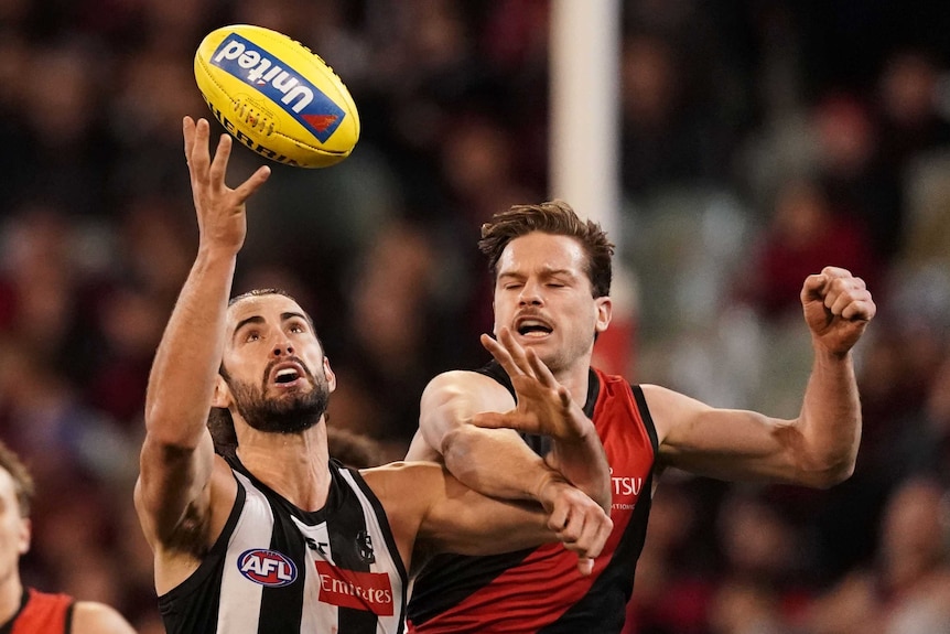 Brodie Grundy looks up as he catches the ball with one hand as an Essendon player attempts to punch the ball clear