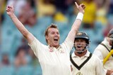 Brett Lee celebrates one of his 310 Test wickets.