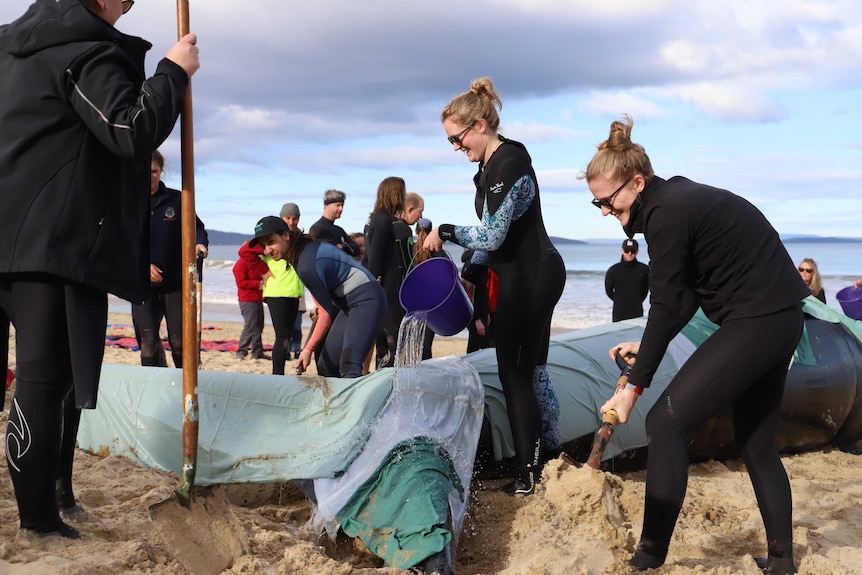 People dig around an inflatable whales fins and pour water