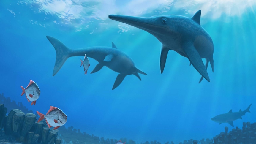 Artist's impression of ichthyosaurs
