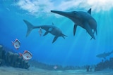 Artist's impression of ichthyosaurs