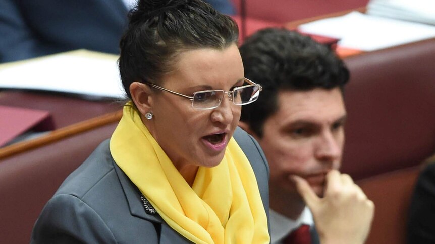 Tasmanian Senator Jacqui Lambie takes up the fight against a mainland poppy industry