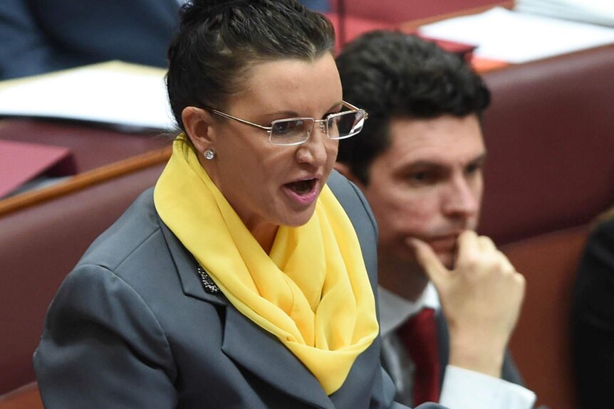 Tasmanian Senator Jacqui Lambie takes up the fight against a mainland poppy industry
