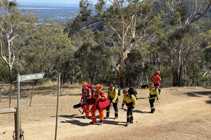 A rescue team walks along a track in bushland.