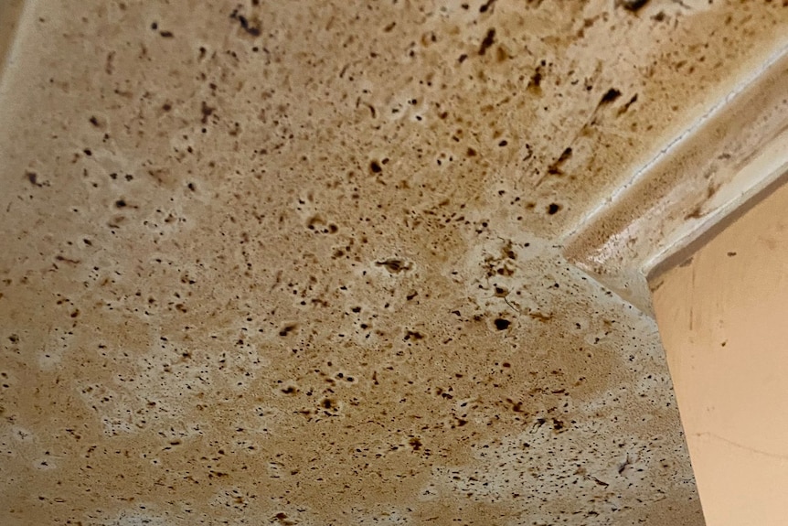 Dirt falls from the roof of a Canberra roof