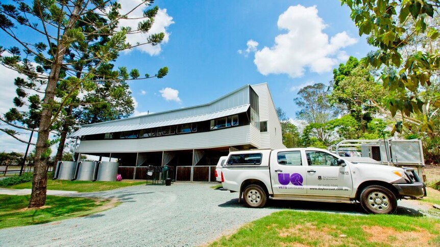 A large white veterinary building with a ute in front of it