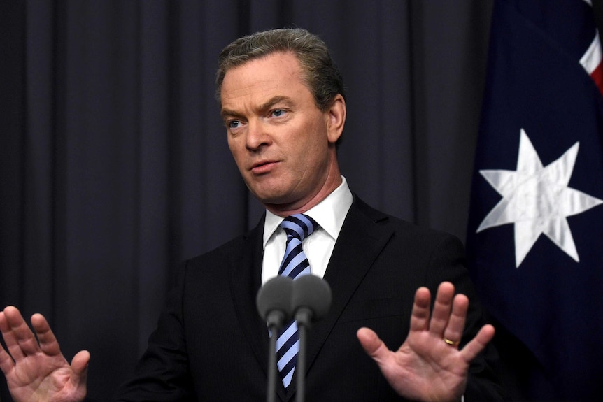 Christopher Pyne speaks to the media