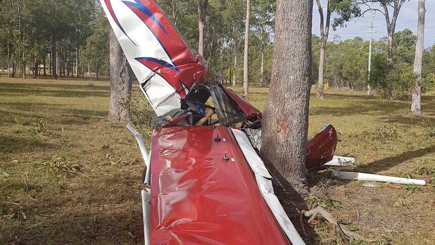 Crashed plane at base of a tree