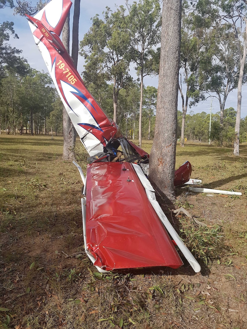 Crashed plane at base of a tree