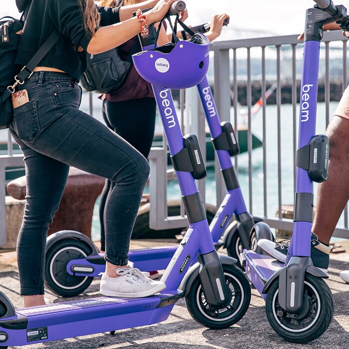 Three people on purple schooters near a waterfront foreshore.
