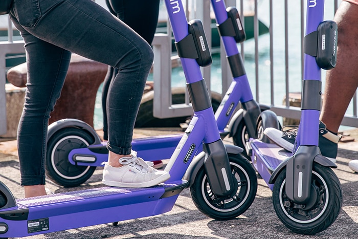 Three people on purple schooters near a waterfront foreshore.