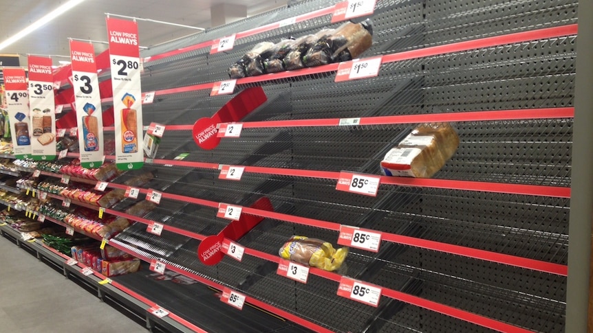 Empty bread shelves at a Coles in Townsville ahead of Cyclone Debbie.