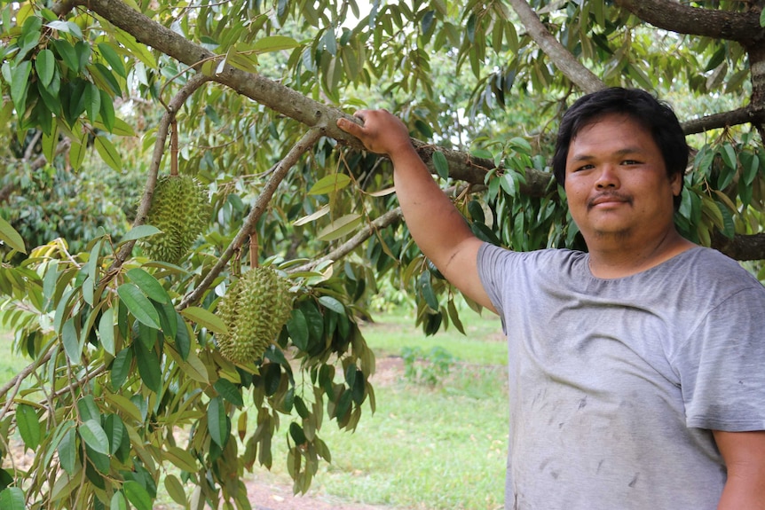Durian grower Han Shiong Siah