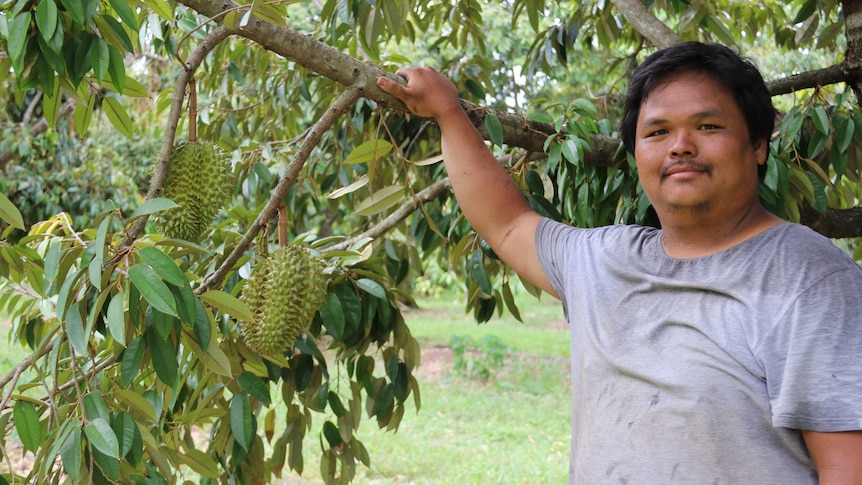 Durian grower Han Shiong Siah