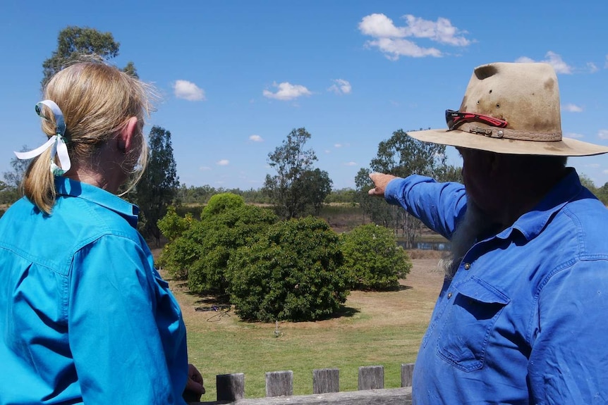 A man and woman, both in blue shirts, look out over a veranda into paddocks.