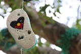 Recycled thong hanging from Thong Tree in Brisbane