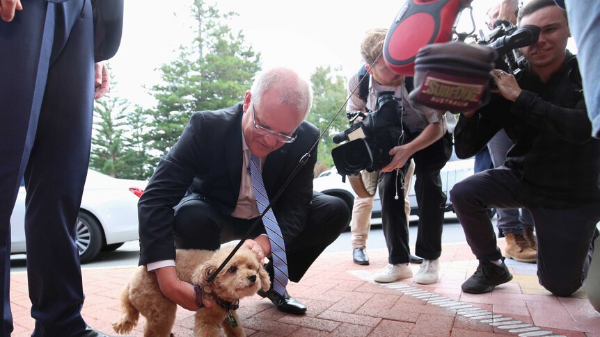 Mr Morrison crouches to pat a dog as he's surrounded by media