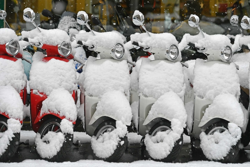 Vespa scooters covered with snow