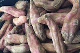 mould-ridden sweet potatoes
