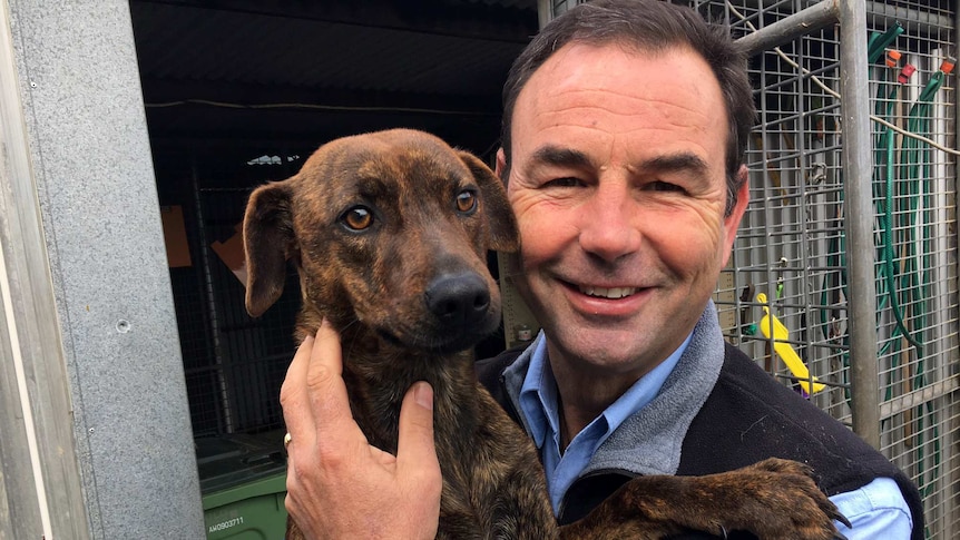 Close up of Matthew Sharpe holding a brown dog.