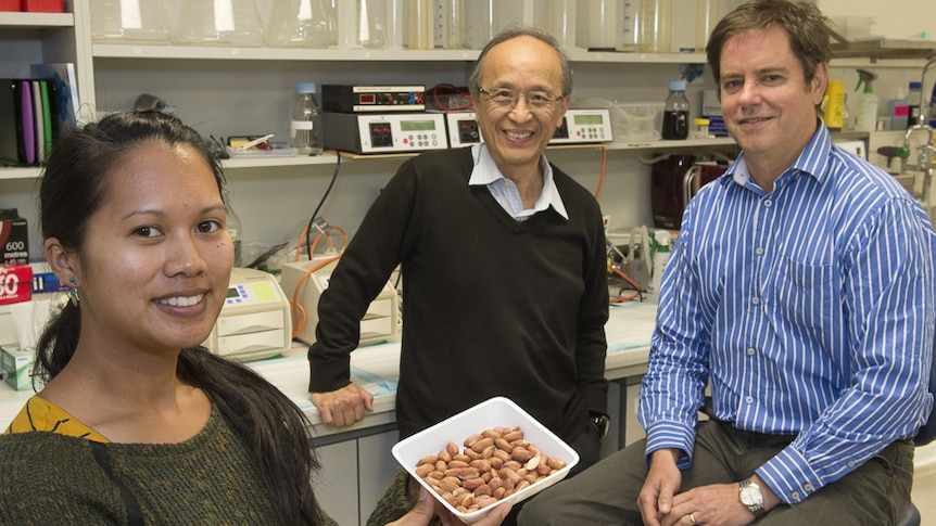 Flinders University researchers Tanya Bernardo, Dr Billy Tao and Dr Timothy Chataway.