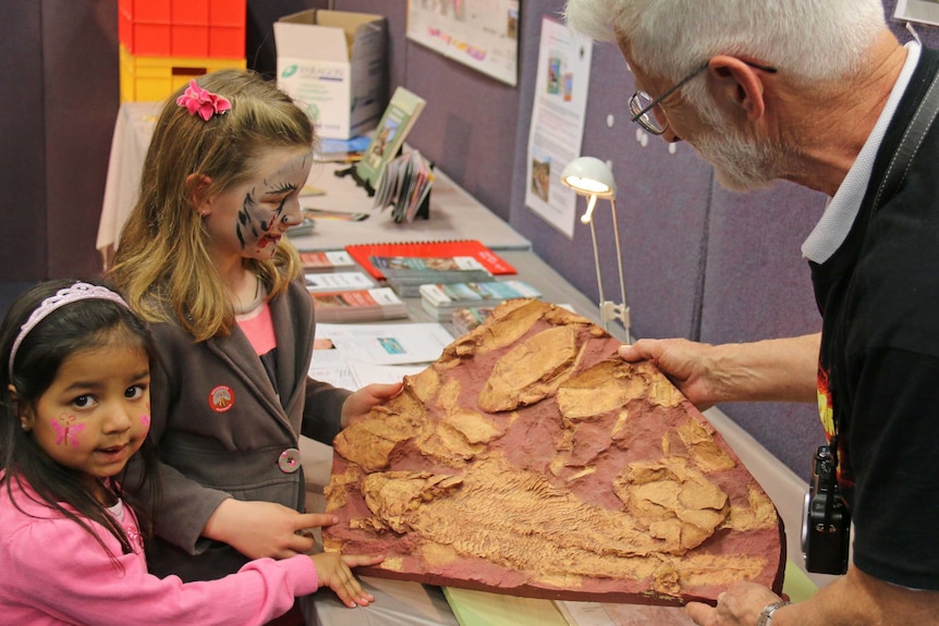 Finding out more about fish fossils at the Geological Society of Australia stall at Science in ACTion.