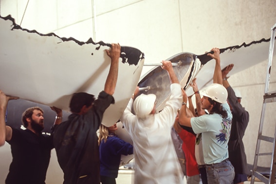Volunteers lifting a large whale tail.