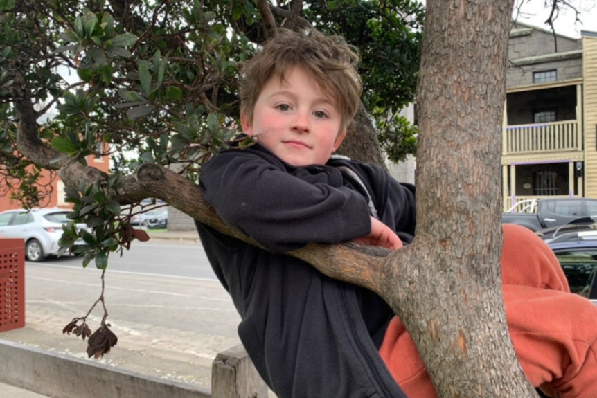 A boy playing in a tree.