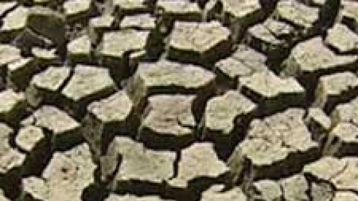 Drought - dry cracked ground