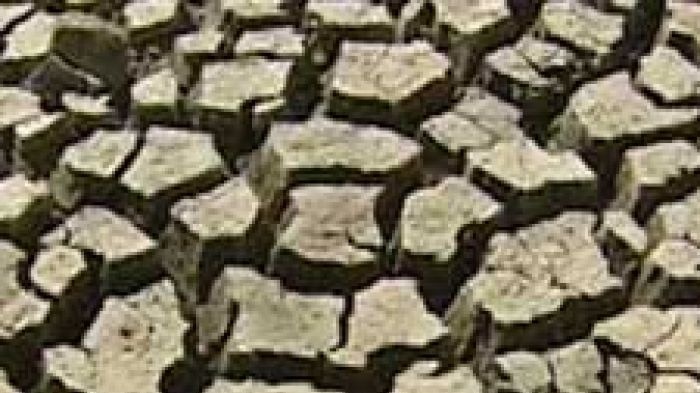 generic - drought - dry cracked ground
