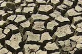 generic - drought - dry cracked ground