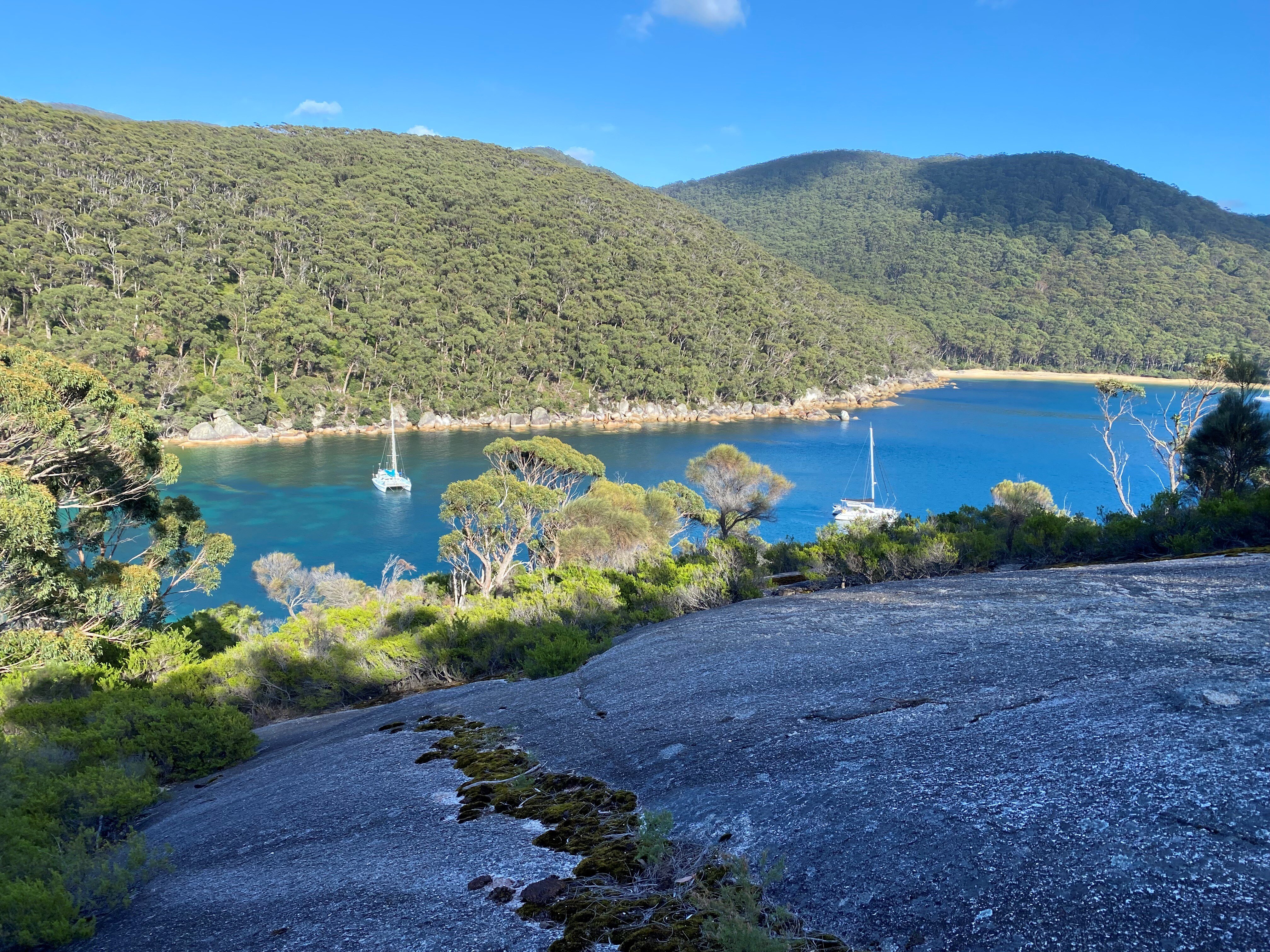 water with boat and green trees 
