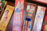 Both the doll and the box for Allan, Ken doll's friend. 