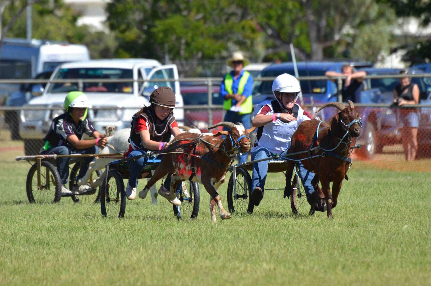 'Mighty worker' goat snares outback race win - ABC News