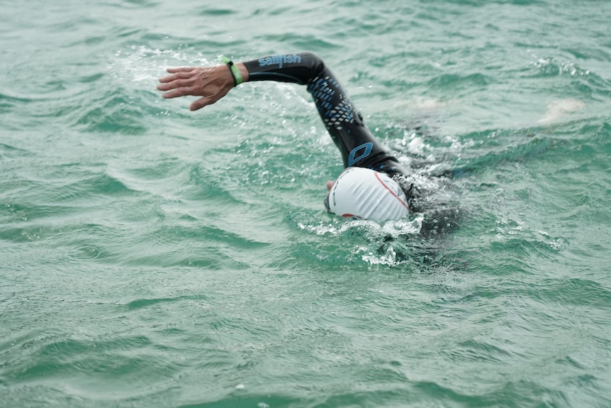 Stock photo of a woman in wetsuit swimming.