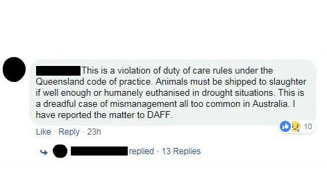 Unidentified Facebook comment saying they reported the photographed scenarios to DAFF